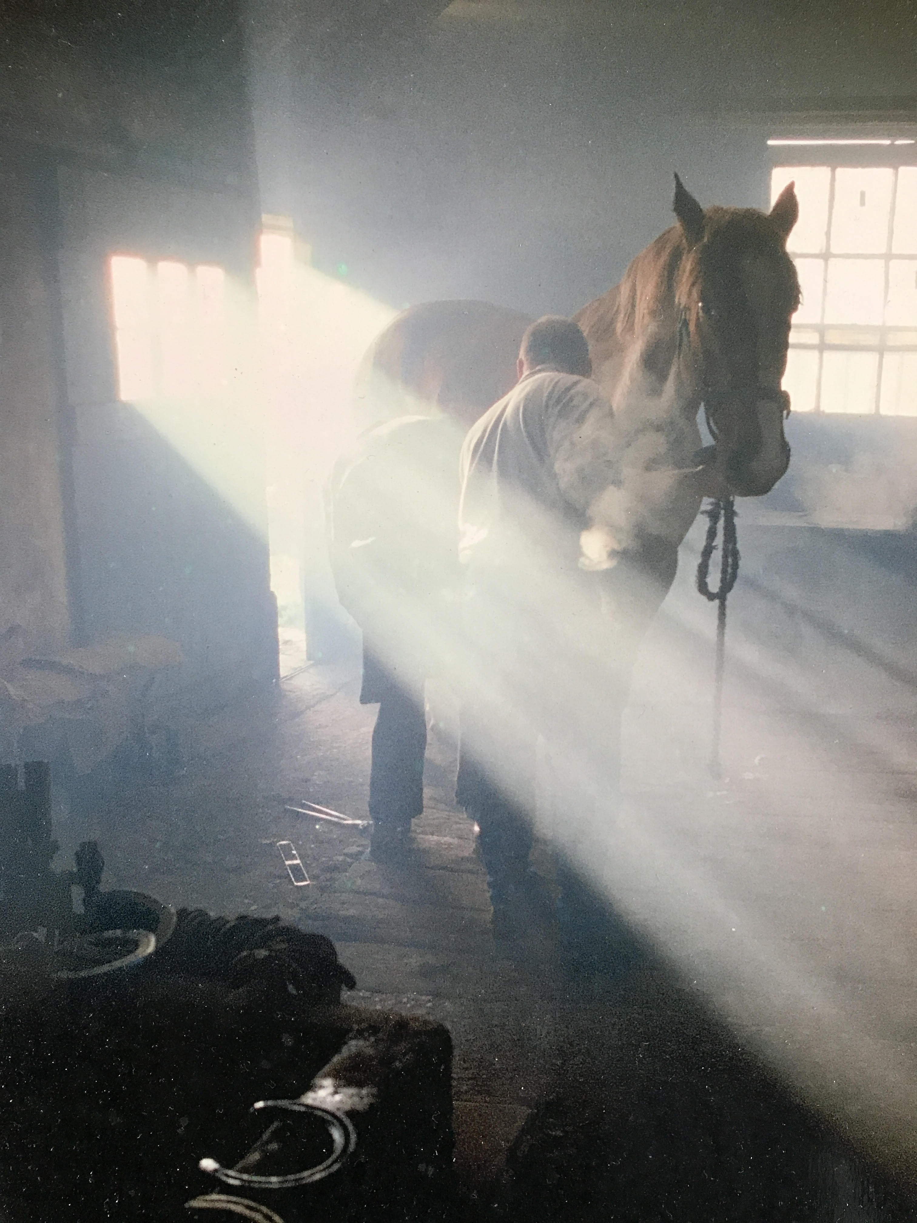 Eamon Madden shoeing horse